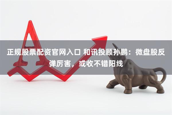 正规股票配资官网入口 和讯投顾孙鹏：微盘股反弹厉害，或收不错阳线