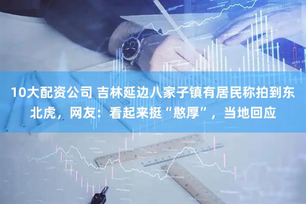 10大配资公司 吉林延边八家子镇有居民称拍到东北虎，网友：看起来挺“憨厚”，当地回应