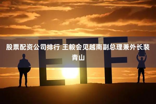 股票配资公司排行 王毅会见越南副总理兼外长裴青山